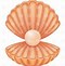 Image result for Beach Sea Shells Cartoon