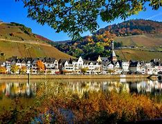 Image result for co_to_znaczy_zell_mosel