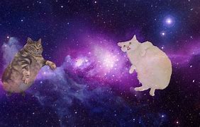 Image result for Cartoon Galaxy Cat Bed