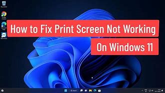 Image result for Why Won't Print Screen Work