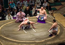 Image result for Sumo Wrestling Drawing