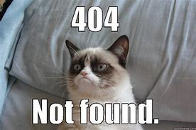 Image result for 404 Person Who Asked Not Found Meme