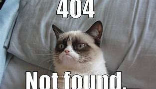 Image result for Error 404 Google Meme
