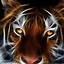 Image result for Best iPhone Wallpapers Animal