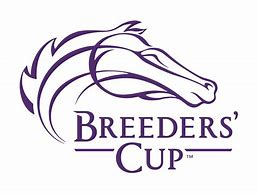 Image result for Breeders' Cup Fashion for Women