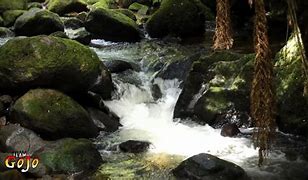 Image result for Bubbling Stream Sounds