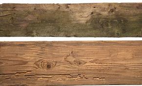 Image result for Wood Board No Backgroud