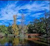 Image result for Fujifilm X20 Landscape Photography