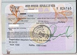 Image result for Indian Work Visa