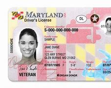 Image result for Federal Real ID Card