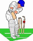 Image result for Cricket Animation Gaw