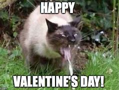 Image result for Valentine's Cat Meme