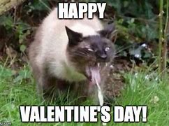 Image result for Happy Valentine's Day Cat Meme