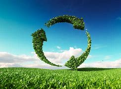 Image result for Sustainable It