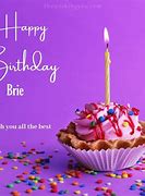 Image result for Brie and Nikki Bella Birthday