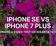 Image result for iPhone 7 Camera Examples