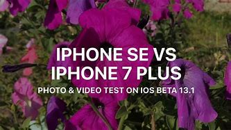 Image result for SE vs iPhone 5C Phone