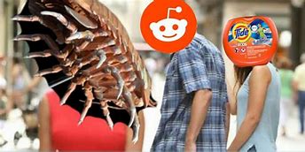 Image result for Isopod Meme