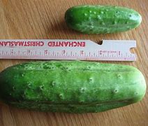 Image result for How Big Is 8Mm in Inches