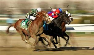 Image result for Best Horse Racing Betting Systems