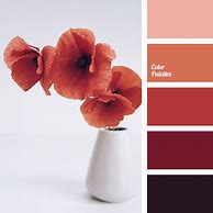 Image result for Cute Colors