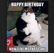 Image result for Happy Birthday Boy Cat Meme