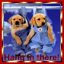 Image result for Way to Hang in There Meme
