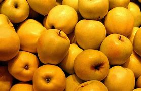 Image result for Yellow Delicious Apple Young