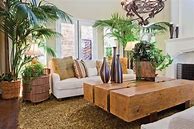 Image result for Living Room Plants Contemporary