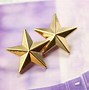 Image result for Gold Star Button