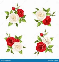 Image result for Wutai White Rose