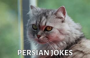 Image result for Good Persian Jokes