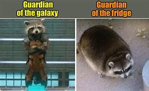 Image result for Guardian Galaxy Cat Meme