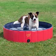 Image result for Dog Pool