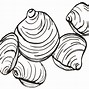 Image result for Canned Quahog Clams
