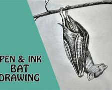 Image result for Baby Bat Drawing