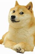 Image result for Doge Smile Meme