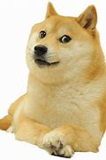 Image result for Doge Wallpaper Tablet