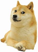 Image result for Smug Doge Meme