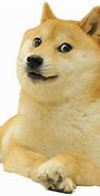 Image result for Cute Dog Memes
