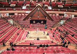 Image result for Tokyo Sumo Wrestling Arena