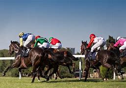 Image result for Horse Racing Rides