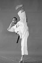 Image result for Japanese Karate Uniform