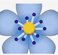 Image result for Black Flower Emoji