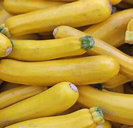 Image result for Different Kinds of Zucchini