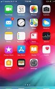 Image result for Apps and Data Screen On iPhone