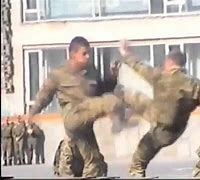 Image result for Systema Martial Arts