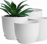 Image result for White Plastic Flower Pots