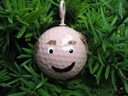 Image result for Crafts with Golf Balls