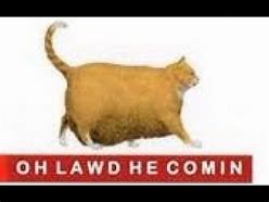 Image result for OH Lawd He Comin Cat Meme